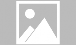 埃罗阿芒老师动漫,穿越次元的爱恋与冒险之旅