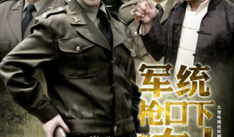 枪口电视剧免费观看,免费观看，热血激战，揭秘抗战风云！