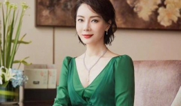 陈数 电视剧,演绎经典角色，诠释时代变迁