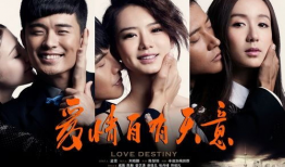 电视剧爱,电视剧爱情感纠葛全景扫描